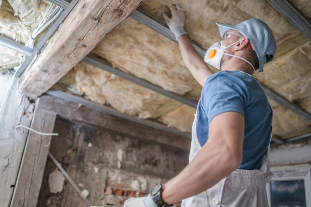 Best Insulation Removal  in Lower Grand Lagoon, FL