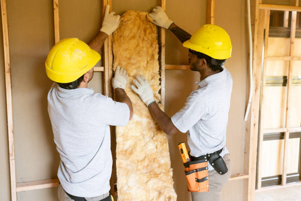 Best Residential Insulation Services  in Lower Grand Lagoon, FL